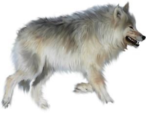farkas_86.png