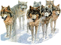 farkas_112