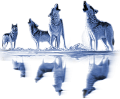 farkas_139