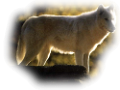 farkas_159