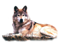 farkas_169