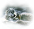 farkas_189