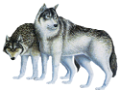 farkas_207