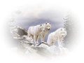 farkas_275