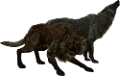 farkas_326