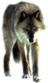 farkas_47