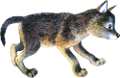 farkas_48