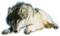 farkas_75