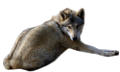 farkas_80