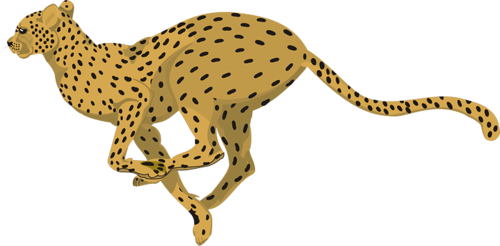 gepard_1.png