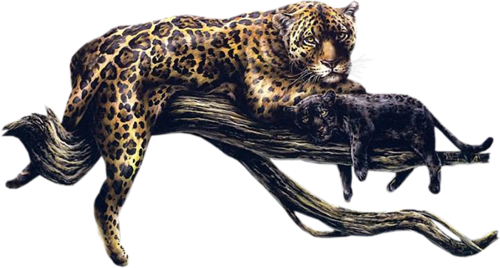 gepard_15.png