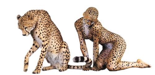 gepard_22.png