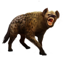 hiena_3.png