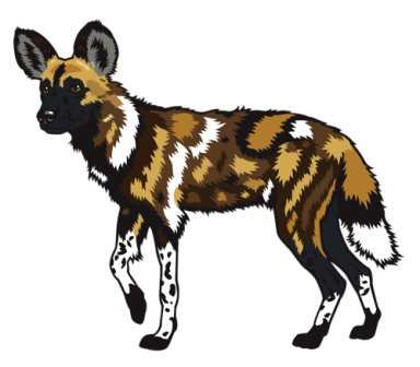hiena_9.png