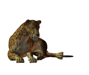 leopard_135.png
