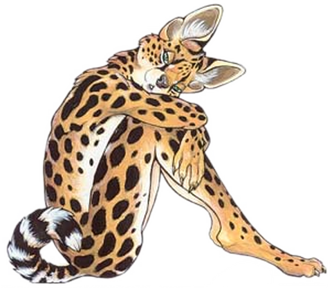 leopard_155.png