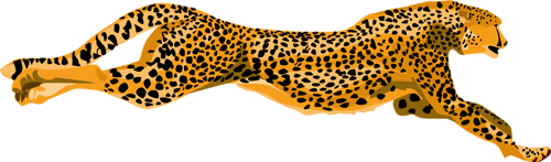 leopard_19.png