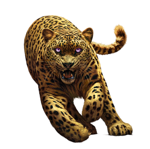 leopard_216.png
