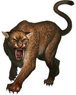 leopard_217.png