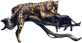 leopard_115