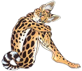 leopard_155