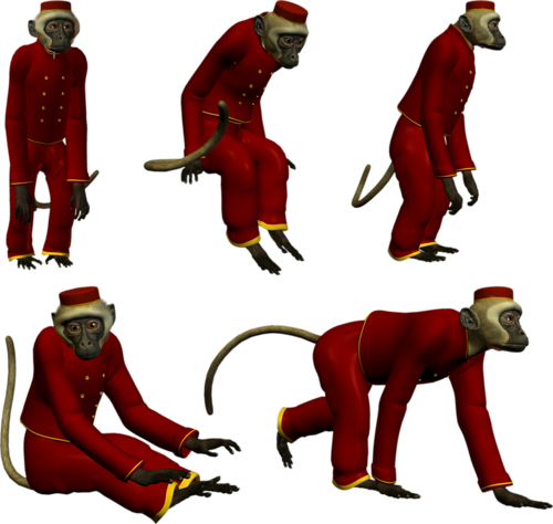 majom_8.png