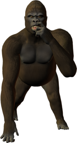 majom_86.png