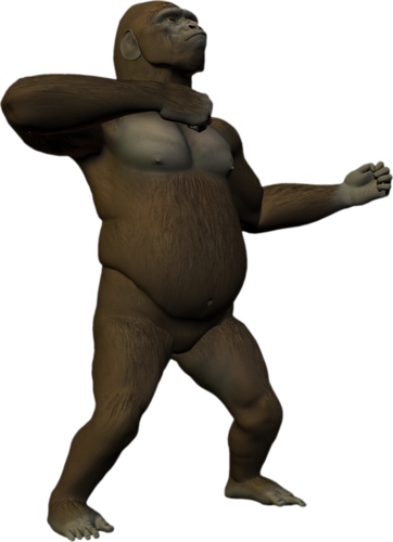 majom_87.png