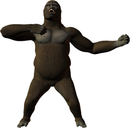 majom_88.png
