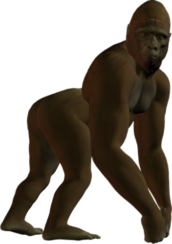 majom_89.png