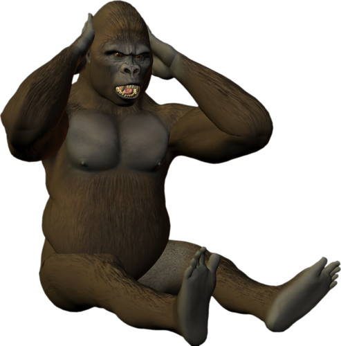 majom_90.png