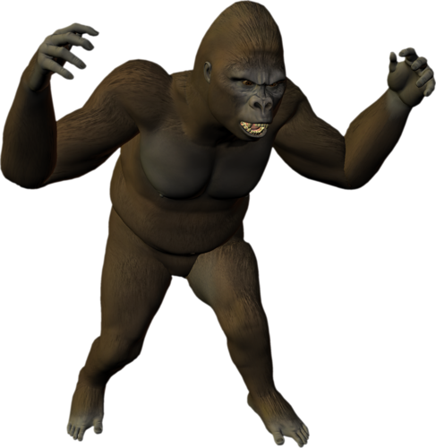 majom_91.png