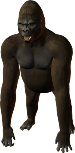 majom_92.png