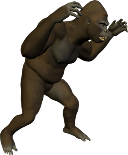 majom_93.png