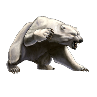 medve_144.png