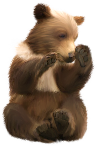 medve_15.png