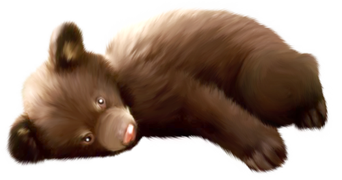 medve_20.png