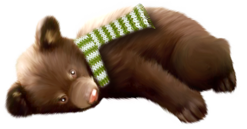 medve_47.png