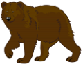 medve_116