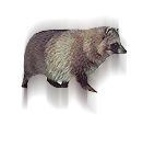 nyest_6.png