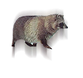 nyest_6