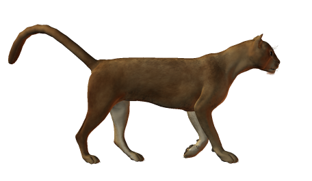 oroszlan_158.png