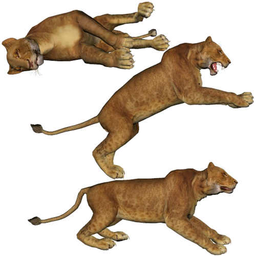 oroszlan_281.png