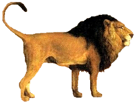 oroszlan_289.png
