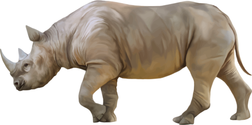 orrszarvu_13.png