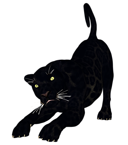 parduc_8.png