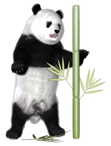 panda_14.png