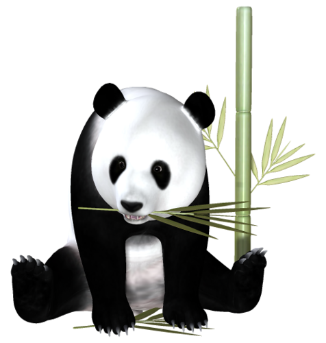 panda_16.png