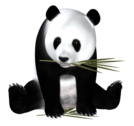 panda_17.png