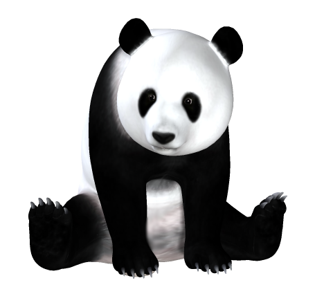 panda_18.png